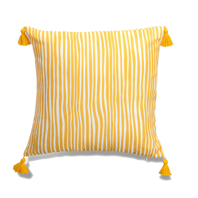 Dakota Fields Cashaun Tassels Polyester Indoor/Outdoor Throw Pillow